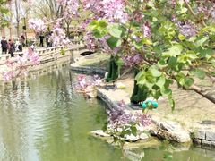 -三里河公园