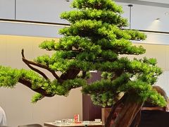 -湘映(金沙洲店)