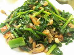 韭菜炒河虾-思远客家菜馆(巴伐利亚店)