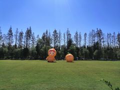 -前小桔亲子创意农场·草莓采摘·露营烧烤