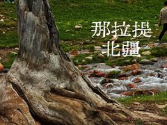 -新疆那拉提国家旅游度假区