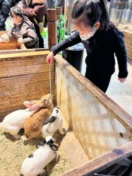 -酷嗒动物文化乐园(cutezoo西溪乐天城店)