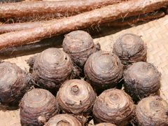 -醉南拳客家菜(华威店)