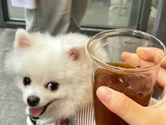 -工页咖啡X COFFEE(龙东路店)