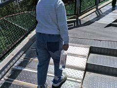 -青藏高原野生动物园