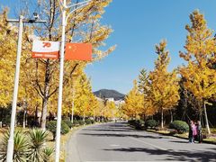 -浙江农林大学(东湖校区)