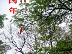 -广州莲花山旅游区