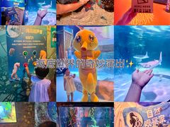 -沈阳海洋探索中心