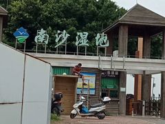 -大湾区中央湿地公园