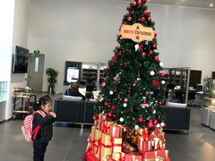 -上海汇之星奔驰4S店(浦东新店)
