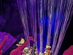 -广州长隆国际大马戏