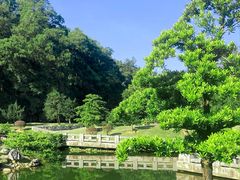 -深圳仙湖植物园