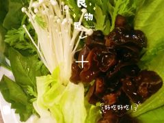 -老诚一锅·羊蝎子(广渠门外店)