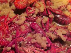 -嘉定凯悦·咖啡厅