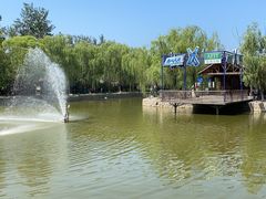 -杨柳青庄园