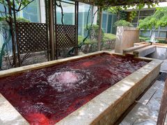 -春晖园度假酒店温泉