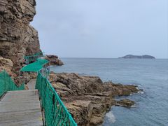 -摩天岭风景区