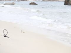 -玫瑰海岸文化旅游度假区