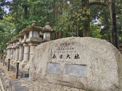 -奈良公园