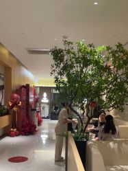 -半岛故事·法儿曼抗衰·indiba中心