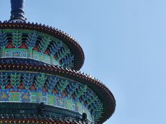 -黄贤森林公园