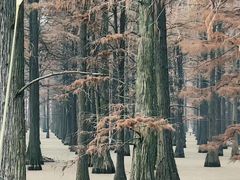 -东湖落雁景区