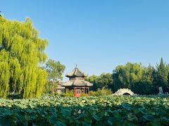 -莲池书院博物馆