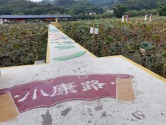-红山村