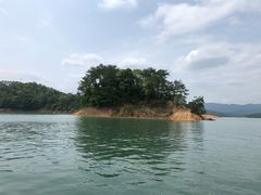 -广州市流溪河国家森林公园