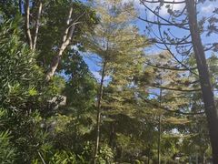 -四海公园(南山区)