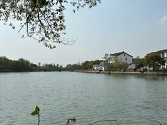 -同里国家湿地公园
