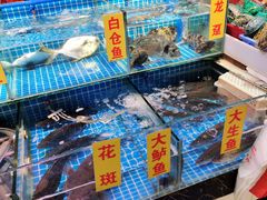 水产区-珠光市场(文德南路)