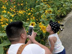 -金谷域澳洲庄园