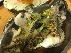 老虎斑-ZF Seafood Restaurant 卓峰海鲜餐