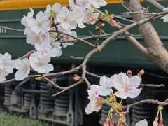 -新天地活力PARK