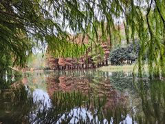 -贡湖湾湿地公园