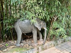 -呀路古热带植物园