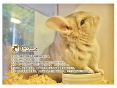 -龙猫仔乐园(惠福东路店)