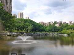 -重庆彩云湖湿地公园