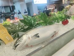 -冀粤香海鲜自助餐厅(西美五洲店)