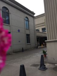 -古罗马大酒店·宴会厅