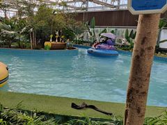 -南宫五洲植物乐园