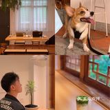 泉州新店｜BAMBOO｜让我5天内去了2次的店