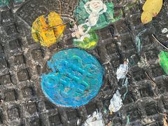 -昆山城市生态森林公园