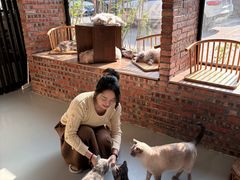 -豆逗聊愈猫阁Easy Life