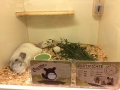 -龙猫仔乐园(惠福东路店)