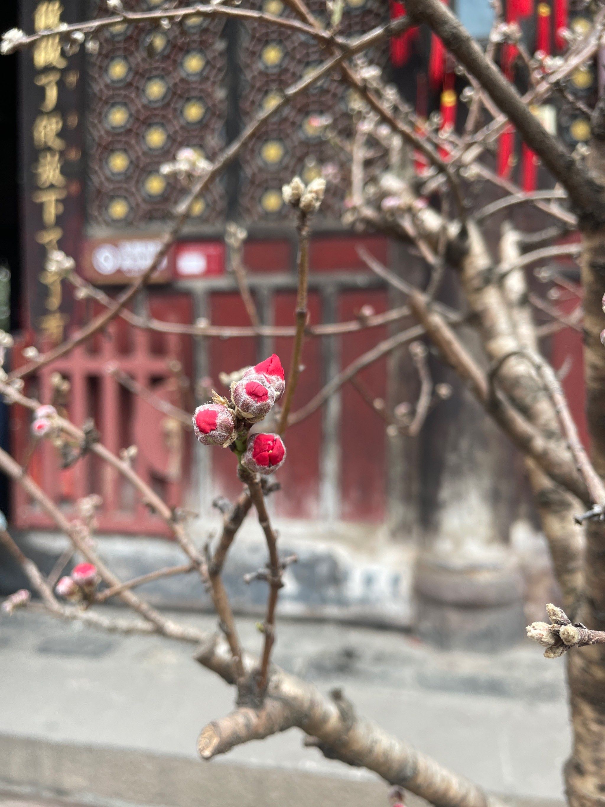 闻到了春天的味道