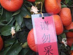 -潮福城大酒楼(北尚店)