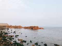-海底捞火锅(城阳万象汇店)