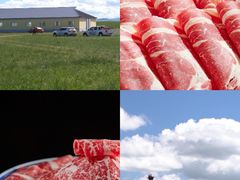 -牛街·马辈儿涮肉(牛街总店)